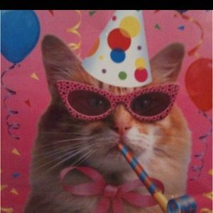 Meet your Posher, Jon